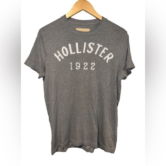 Hollister Other - Hollister Mens Medium Gray Short Sleeve T Shirt, Size Medium
